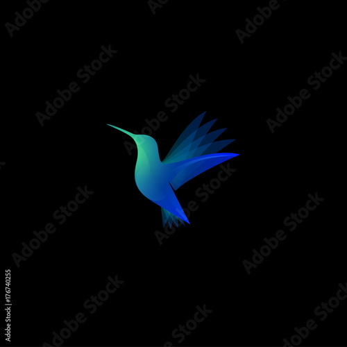 Colibri color transparent logo. Spa and resort emblem