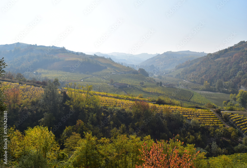 The Langhe landscape in Autumn, Italy.