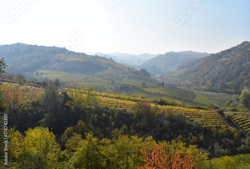 The Langhe landscape in Autumn  Italy.