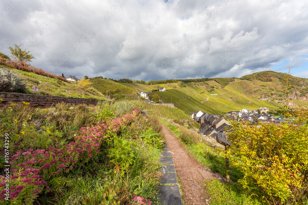 Hiking trail Landscape at the Moselle near Uerzig in autumn Hiking trail Landscape at the Moselle near Uerzig in autumn