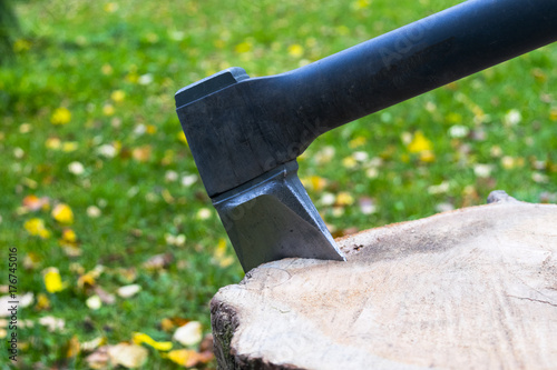 Axe in stump. Axe ready for cutting timber.Woodworking tool. Lumberjack axe in wood chopping timber. Travel adventure camping gear outdoors items