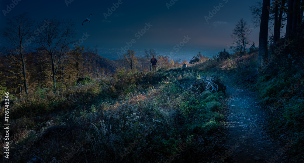 Fototapeta premium Pathway through the forest in the mountains