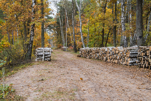 Fototapeta Naklejka Na Ścianę i Meble -  Drewno na opał
