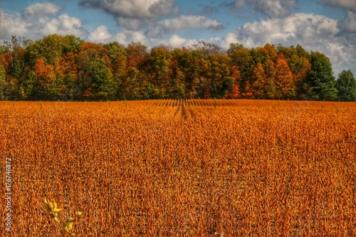 9018 - Fall on Murphy Lake III (9018-TRE-101317-0217P)