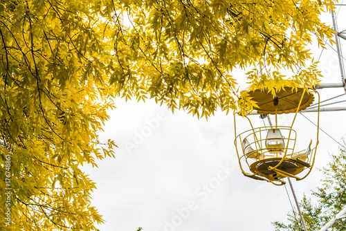 Ferris wheel in the autumn park. Autumn city. photo
