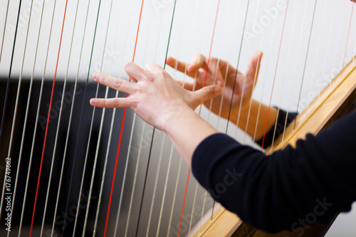 Fotografie, Obraz Woman playing harp