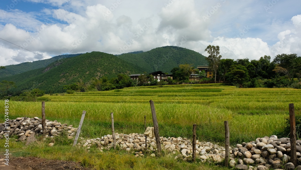 Landscape of paddy field, house and mountains in Paro,  Bhutan