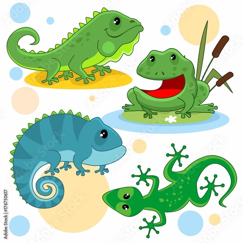 Fototapeta Naklejka Na Ścianę i Meble -  A set of cartoon pictures for children. Illustration with a lizard, iguana, toad, frog and chameleon.