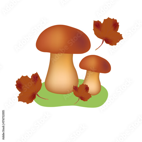 mushroom vector leaf