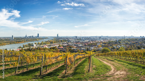 Wien Panorama über Weinberge  photo