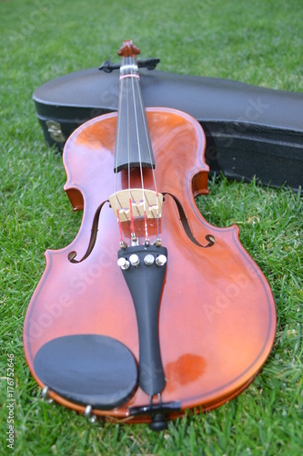 Wood violin 