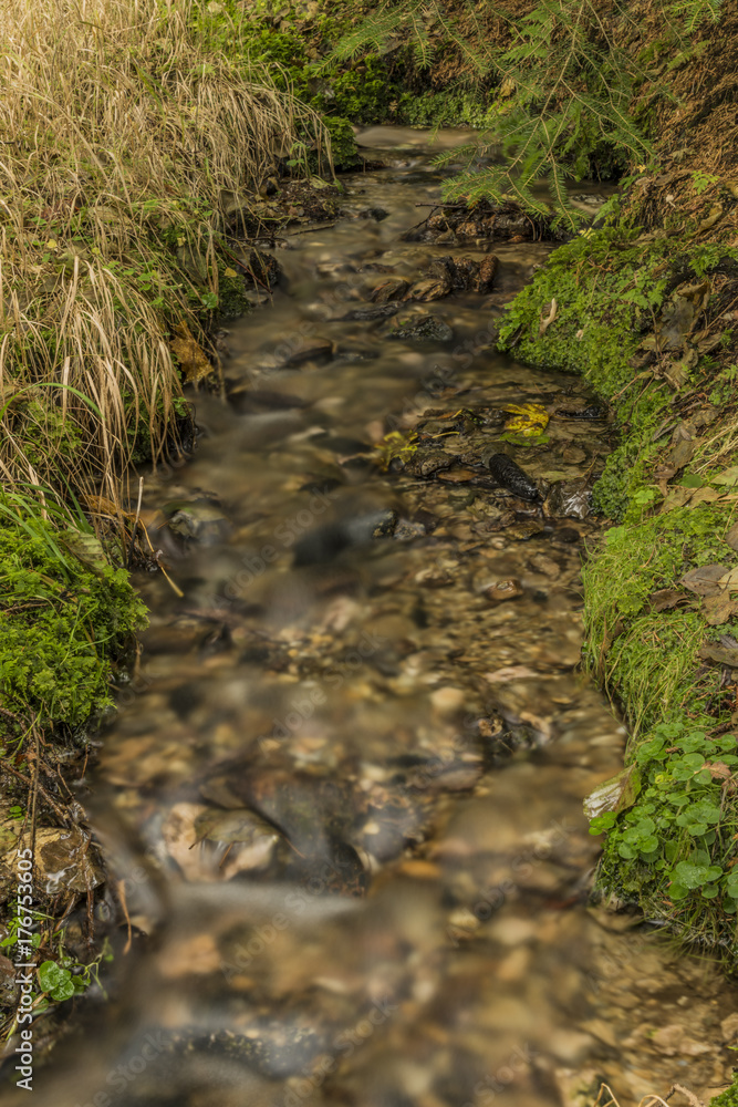 Small forest creek near Roprachtice village