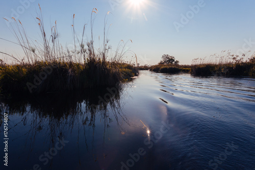 Okavango river  Okanvango delta   Botswana