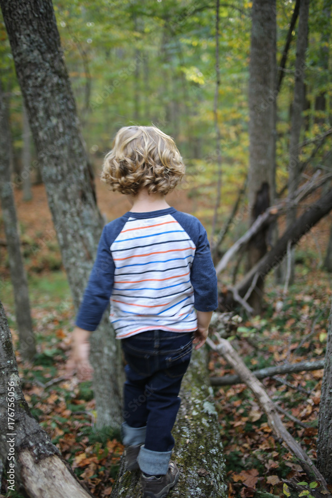 Lifestyle Little Boy with Long Blonde Hair Playing in a Forest on Trees in Autumn Lifestyle Little Boy with Long Blonde Hair Playing in a Forest on Trees in Autumn