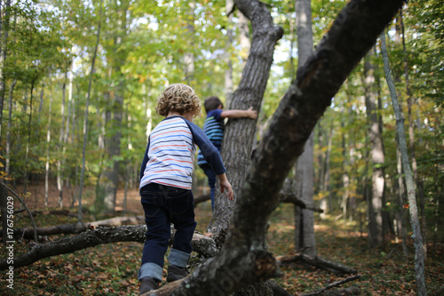 Lifestyle Two Little Boys Climbing Trees in a Forest in Fall