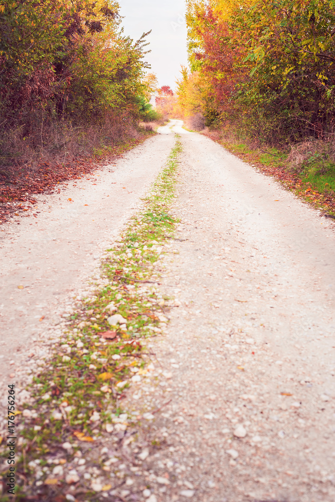 Unpaved country road in autumn Unpaved country road in autumn