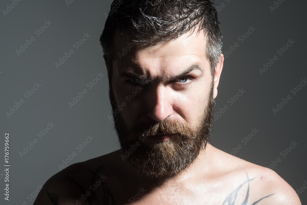 Fototapeta premium Man with long beard and mustache.