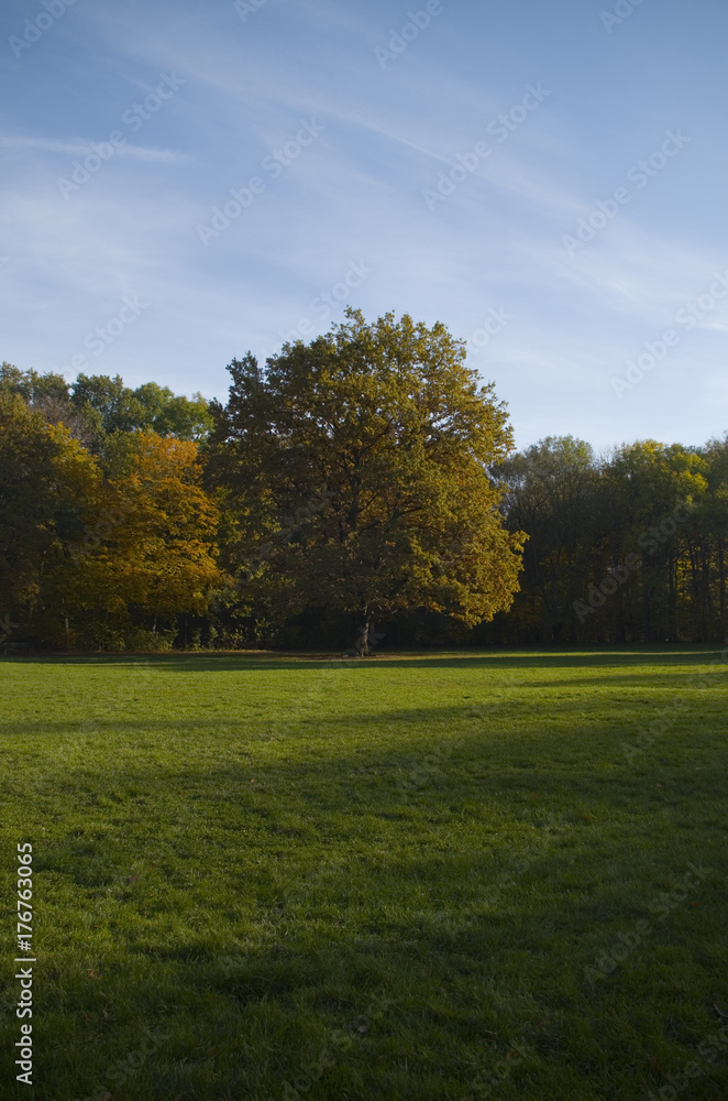 Baum Baum