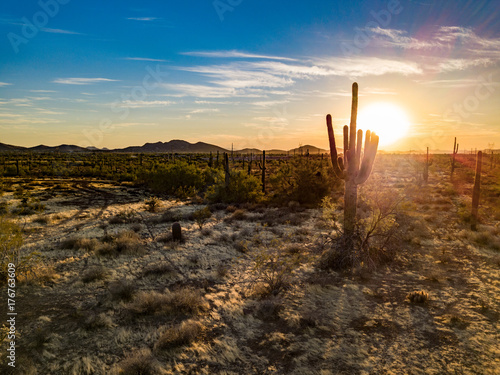 Sunset behind Cactus