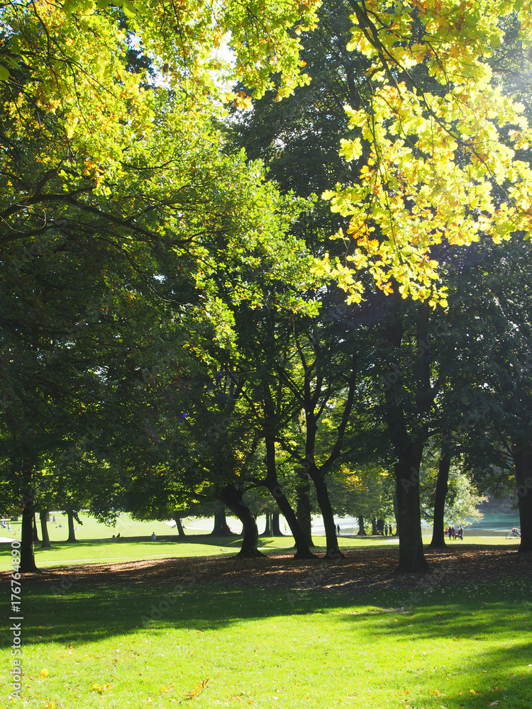 Frühherbst im Stadtpark Frühherbst im Stadtpark