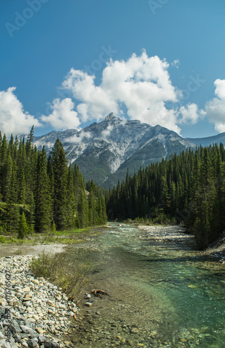 Rundle peak with river and forest. 