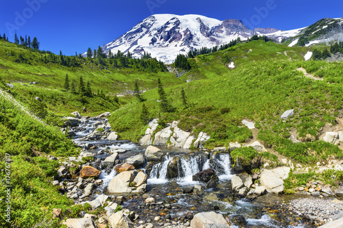 Wildflowers Edith Creek Paradise Mount Rainier National Park Washington