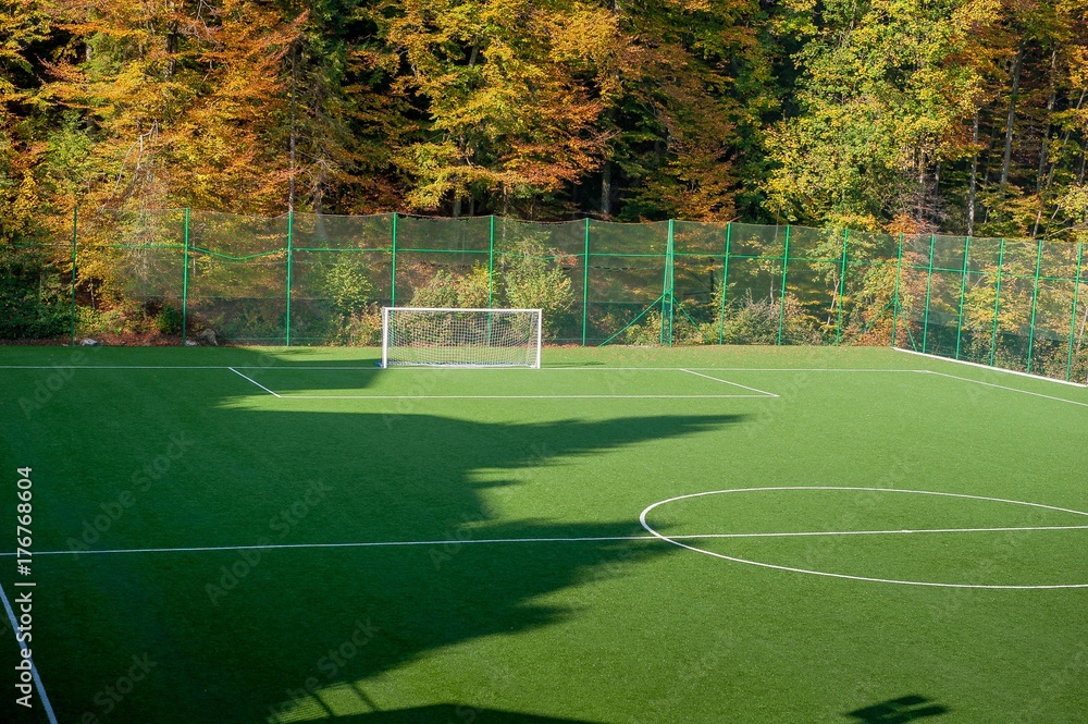 Fototapeta premium FOOTBALL FIELD