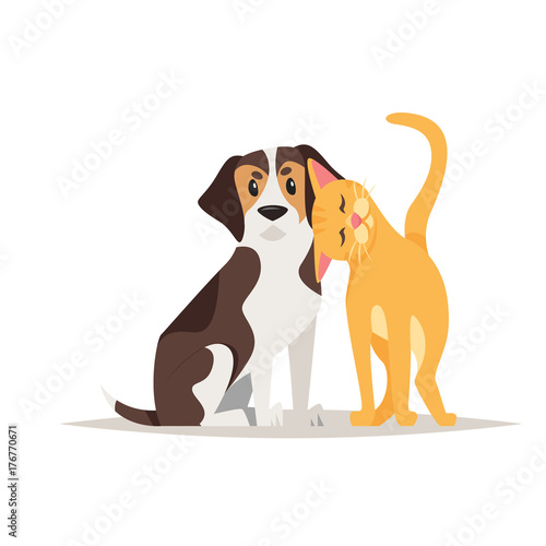 cat and beagle dog friendship