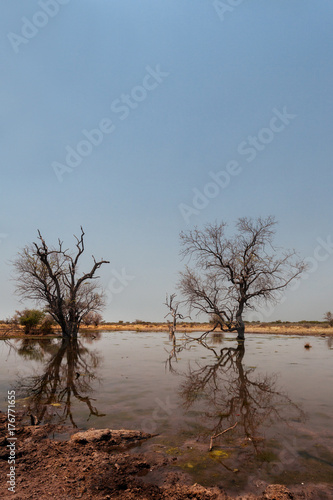 Kalahari desert Botswana