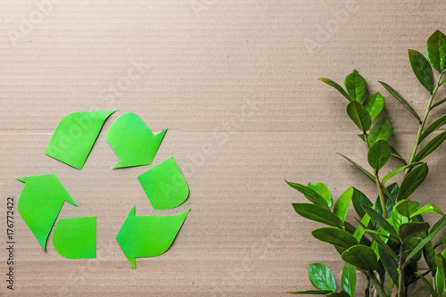 Symbol of recycling and green plant on cardboard background