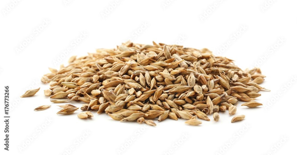 Wheat grass seeds on white background Wheat grass seeds on white background