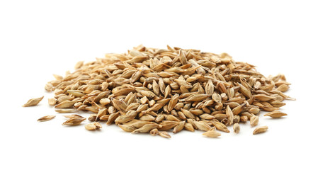 Wheat grass seeds on white background