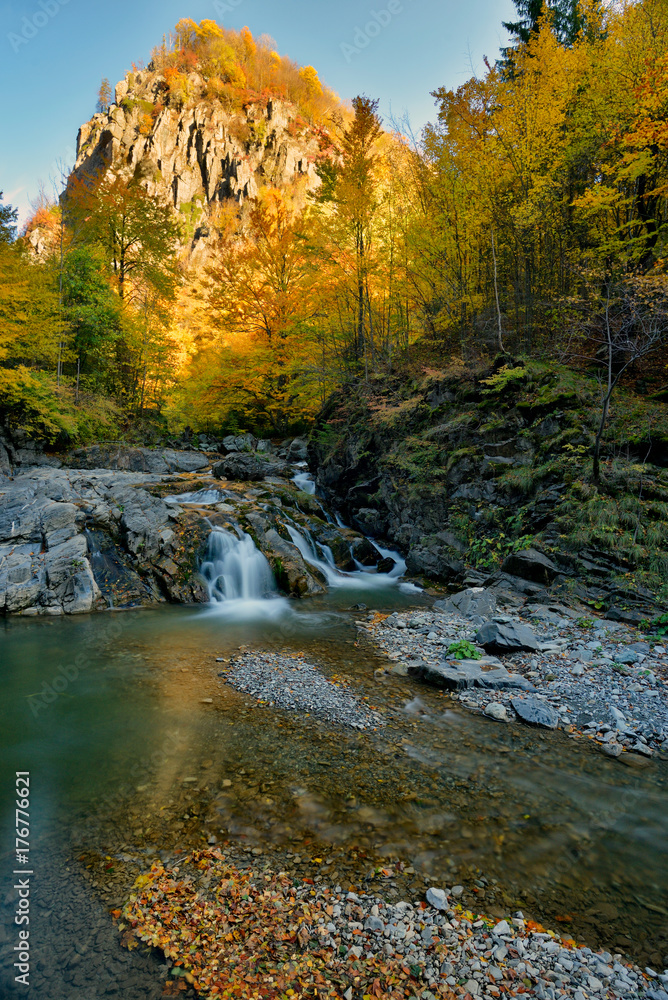 Autumn waterfall and creek woods with yellow trees foliage and rocks in forest mountain Autumn waterfall and creek woods with yellow trees foliage and rocks in forest mountain