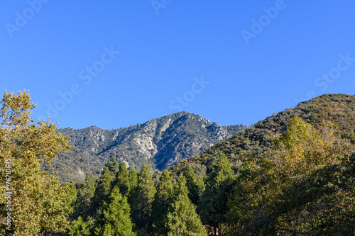 Forest and mountains of Southern California in autumn