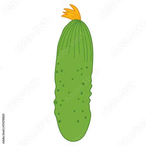 Vector Green Cucumber