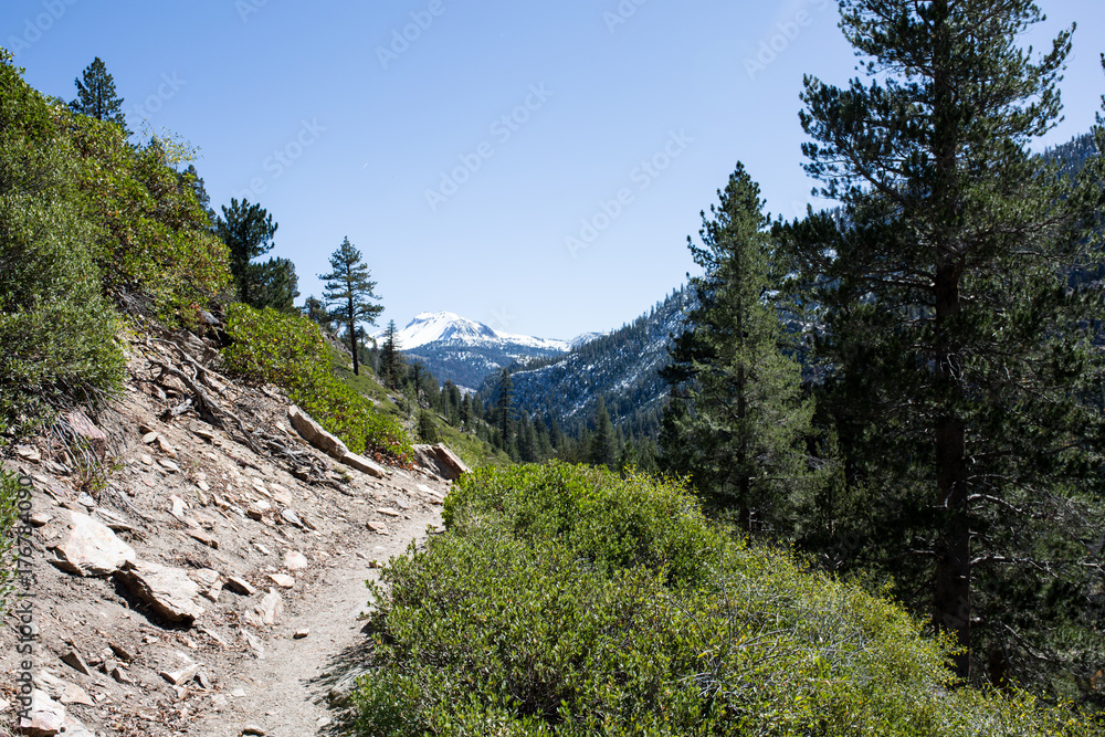 Hiking trail in the Ansel Adams wilderness in the Sierra Nevada in fall Hiking trail in the Ansel Adams wilderness in the Sierra Nevada in fall