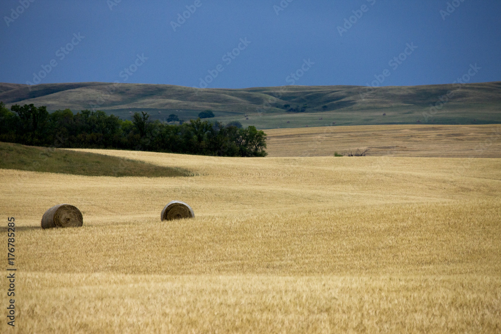 Fototapeta premium Prairie Scene Saskatchewan