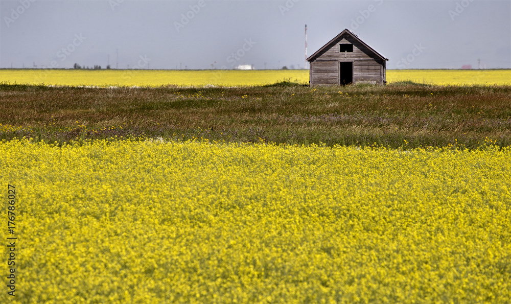 Prairie Scene Saskatchewan