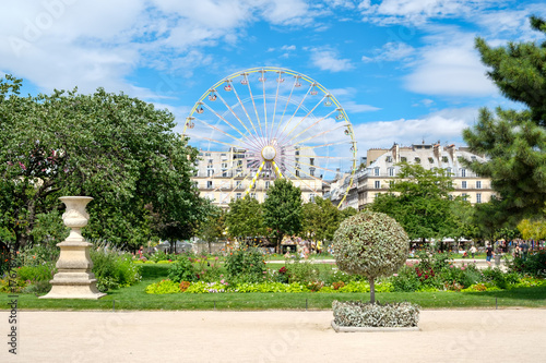 The Tuileries Garden on a beautiful summer day in Paris