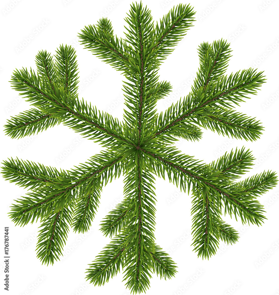 Green original coniferous snowflake isolated on white. Vector illustration.