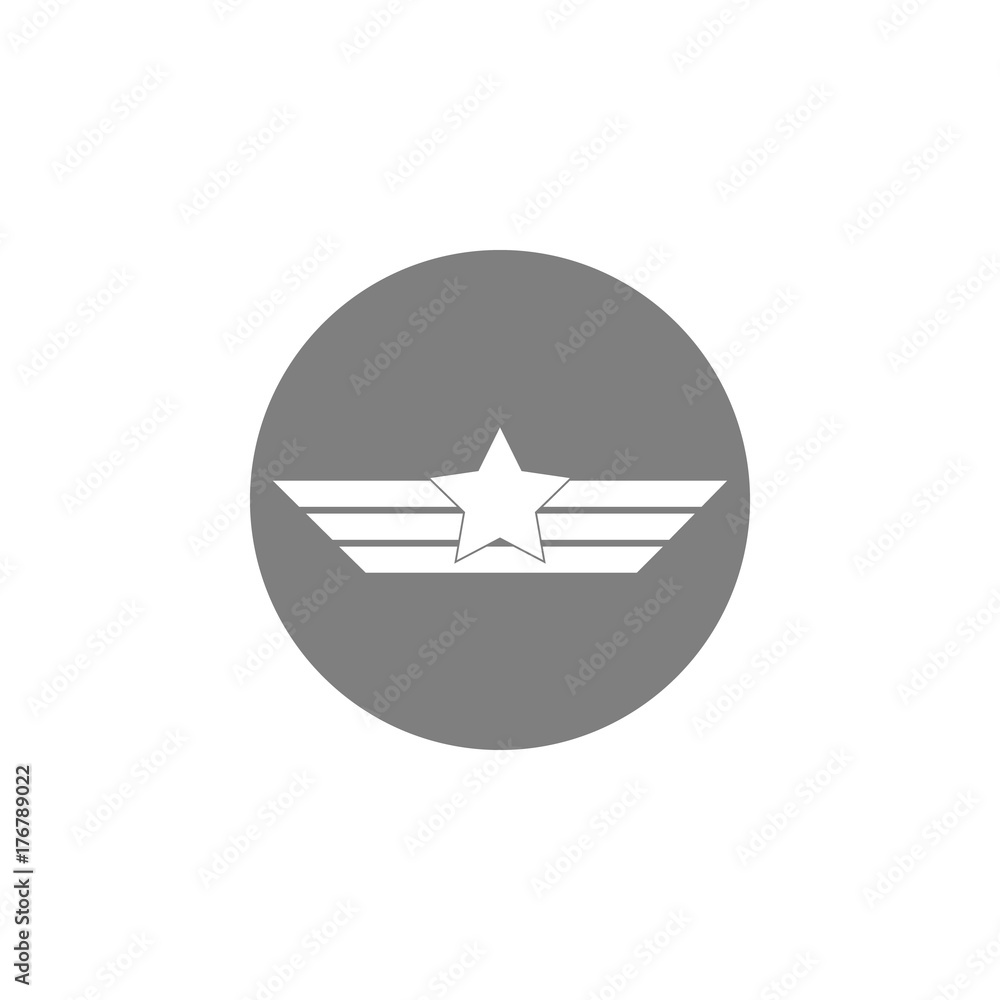 Aviation wings icon