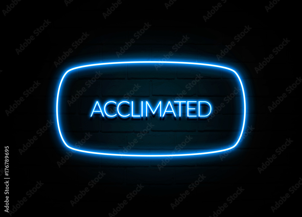 Acclimated - colorful Neon Sign on brickwall Acclimated - colorful Neon Sign on brickwall