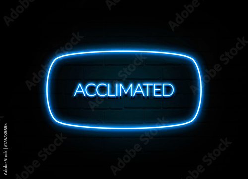 Acclimated - colorful Neon Sign on brickwall