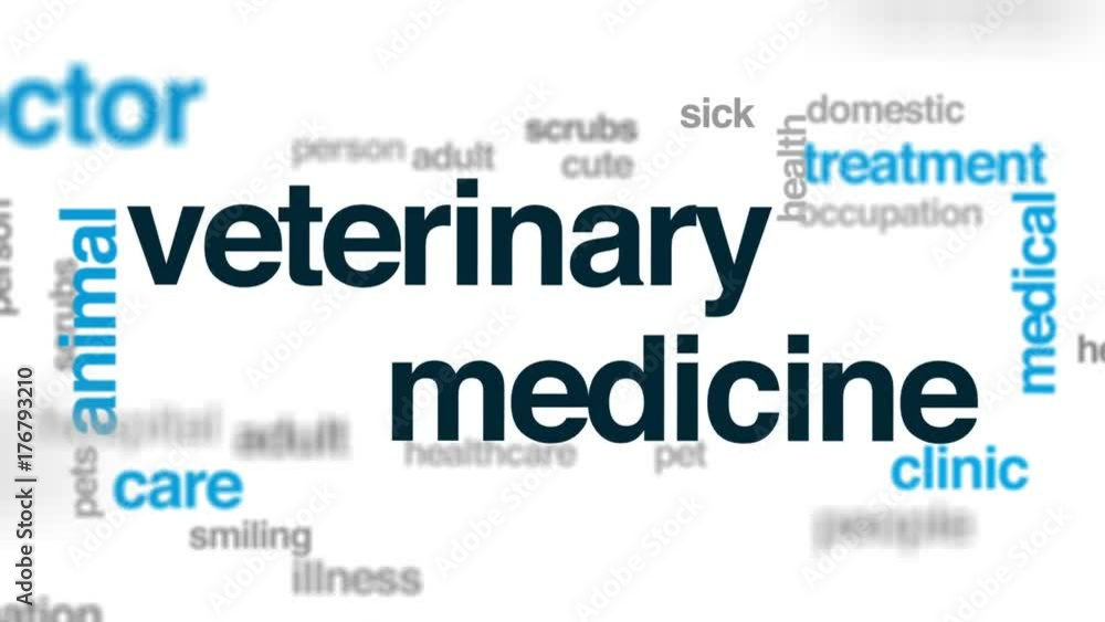 Veterinary medicine animated word cloud, text design animation. Veterinary medicine animated word cloud, text design animation.