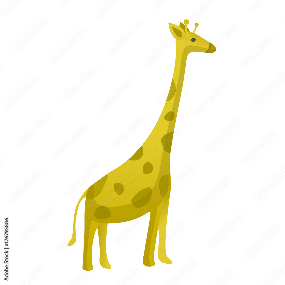 Obraz premium Giraffe