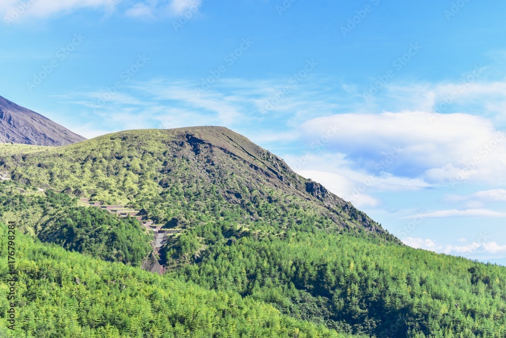 Lush Green Forest with Sakurajima Volcano Lush Green Forest with Sakurajima Volcano