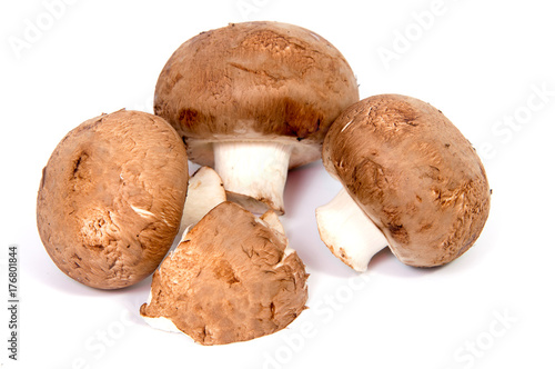 Set Champignon mushroom isolated on white background.