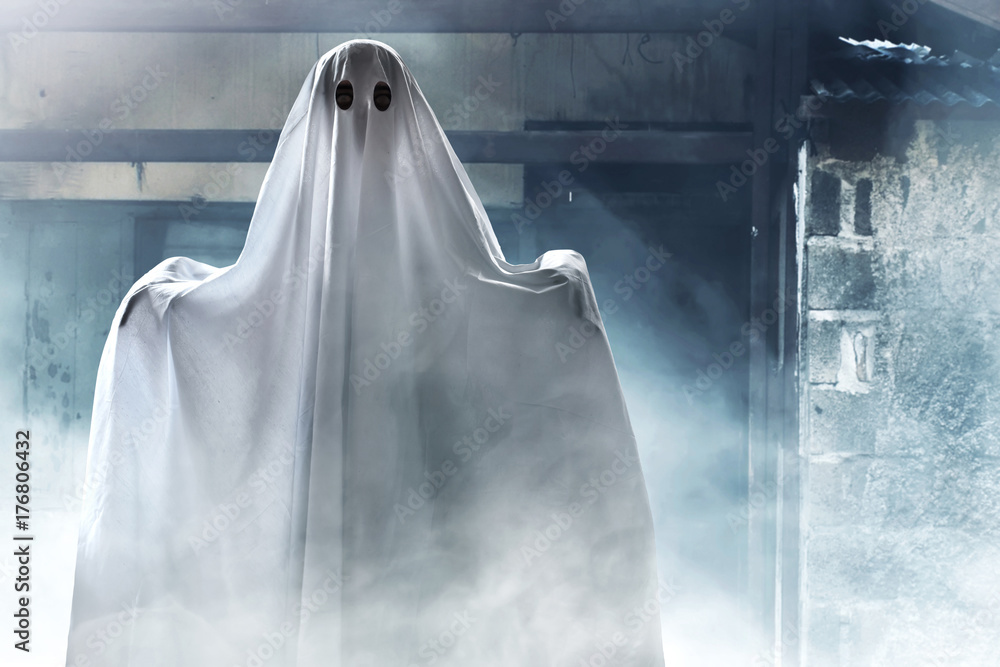 Fototapeta premium Ghost