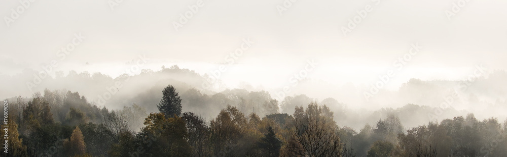 Naklejka premium Radient fogg