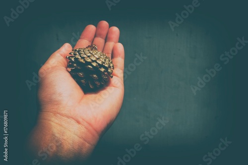 Golden Pine Cone in Hand in Vintage Style. Background for Christmas Time with Space for Text.